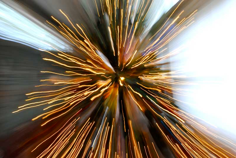 Illustration for article titled Zoom Photo Challenge Gallery 1